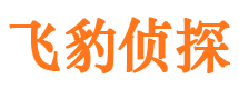 桦南市调查公司